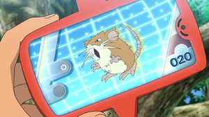 LV020 - Rattatac Pokédex.png