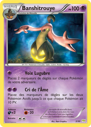 Carte XY Kit du Dresseur Bruyverne 2.png