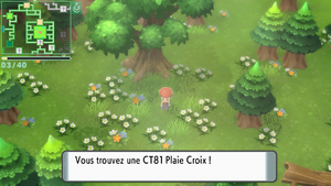 Caverne Ensoleillée CT81 DEPS.png