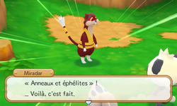 La leçon du jour.
