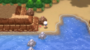 Route 219 Antidote DEPS.png