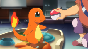 Salamèche de Tierno - Film 20.png