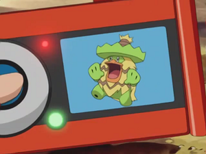 AG067 - Ludicolo Pokédex.png