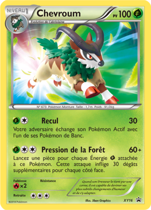Carte Promo XY XY16.png