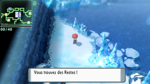 Caverne du Glacier Restes DEPS.png