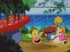 EP026 - Rafflesia et Boustiflor.png