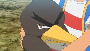 LV060 - Canarticho de Galar de Sacha (Flash-back).png