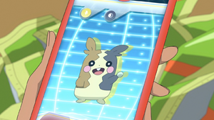 LV070 - Morpeko Pokédex.png