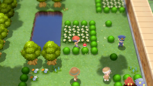 Route 212 Encens Fleur DEPS.png