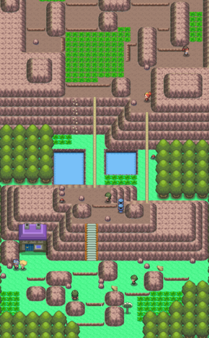 Route 227 DP.png