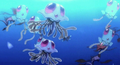 Tentacool et Tentacruel (sauvages)