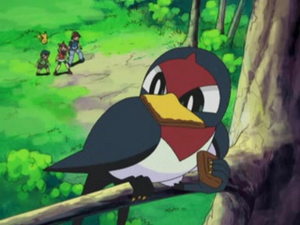 AG004 - Nirondelle de Sacha.png