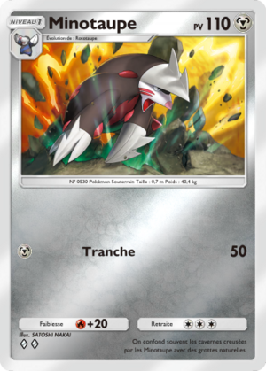 Carte Booster de Luxe ex 256.png