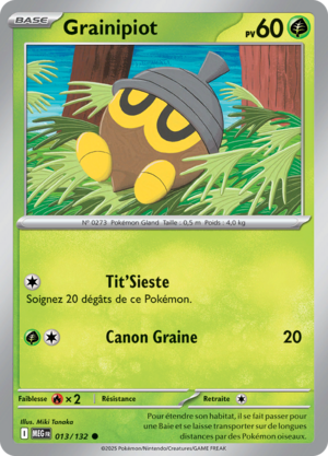 Carte Méga-Évolution 013.png