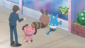 Snubbull, Fouinette, Azumarill et Mimigal (de Dresseurs)