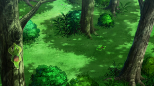 XY095 - Cellules de Zygarde.png