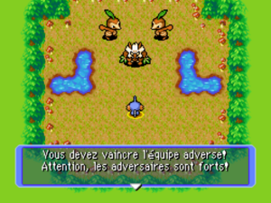 Dédale Équipe Tengalice PDMRB.png