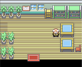 Intérieur de l'herboristerie de Pokémon Rouge Feu et Vert Feuille.