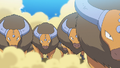 Tauros (de Sacha; ×30)