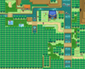 Plan d'ensemble de la route dans Pokémon Noir et Blanc