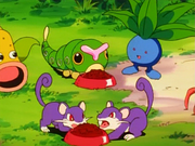 Rattata(sauvages)