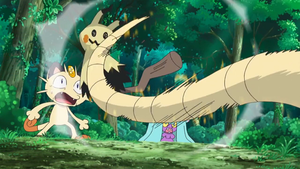 Rattatac d'Alola Mimi-Queue.png