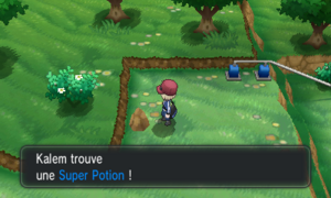 Route 5 Super Potion Cachée XY.png