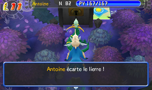 Bois Clair de Lune (2) PDMPI.png