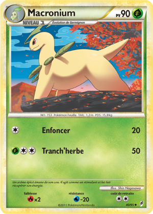 Carte L'Appel des Légendes 40.png
