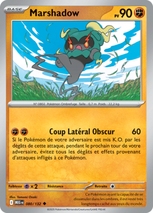Carte Méga-Évolution 080.png