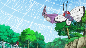 LV009 - Aéromite et Papilusion de Goh.png