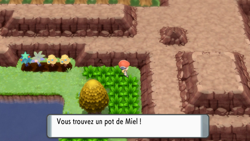 Fichier:Route 205 Miel DEPS.png