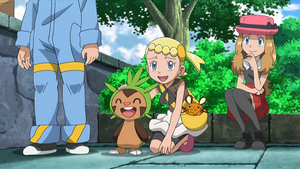 XY043 - Marisson et Dedenne de Lem.png
