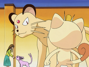 AG115 - Persian et Mentali d'un Dresseur.png