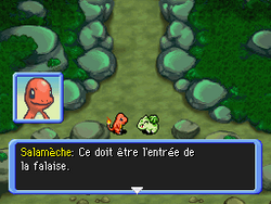 L'entrée de la falaise.