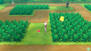 Route 11 Super Potion LGPE.png