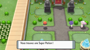 Route 212 Super Potion DEPS.png