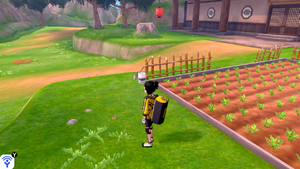 Taupiqueur d'Alola Plaine Salutation 4 EB.png