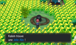 Village Pokémon Jolie Aile XY.png