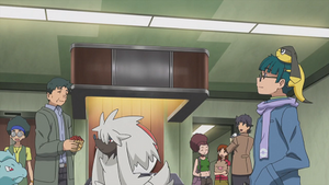 XY084 - Couafarel d'un Dresseur.png