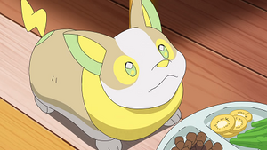 LV006 - Voltoutou de Chloé.png