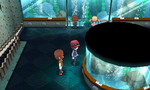 L'intérieur de l'Aquarium de Roche-sur-Gliffe dans Pokémon X et Y.