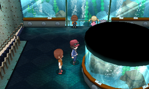 Roche-sur-Gliffe Aquarium XY.png