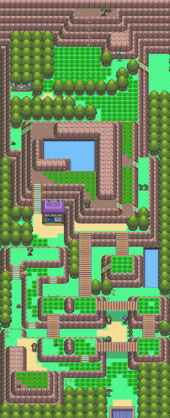 Pokemon Sauvages 244px-Route_225_DP