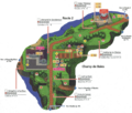 Plan du Champ de Baies et de la Route 2 dans Pokémon Ultra-Soleil et Ultra-Lune.