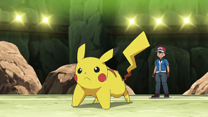XY025 - Pikachu de Sacha.png