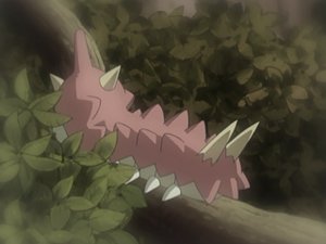DP073 - Chenipotte de Jessie (Flash-back).png