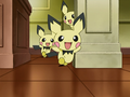 Pichu (de Monsieur Backlot)