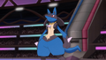 Lucario (de Sacha)