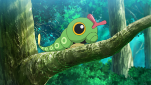 LV142 - Chenipan.png
